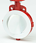 Bray Series 22/23 Butterfly Valves Image